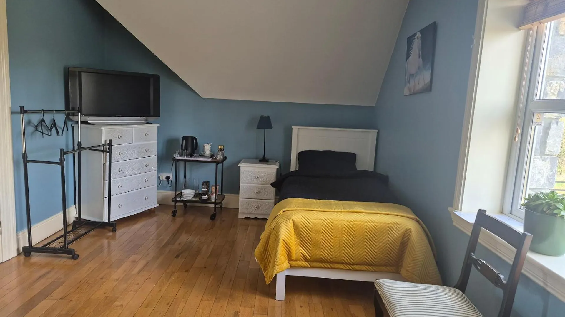 Habitación en casa particular Ballinasloe Guest House In The Heart Of The Country Irlanda